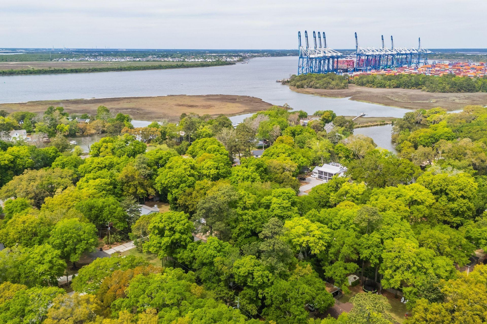 288 Molasses Lane Photo 107