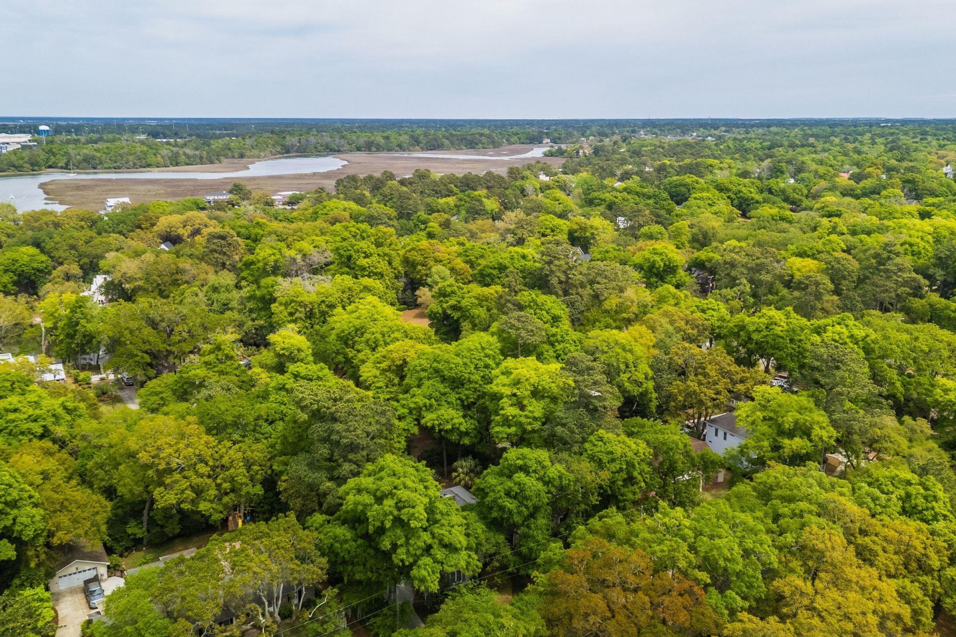 288 Molasses Lane Photo 108