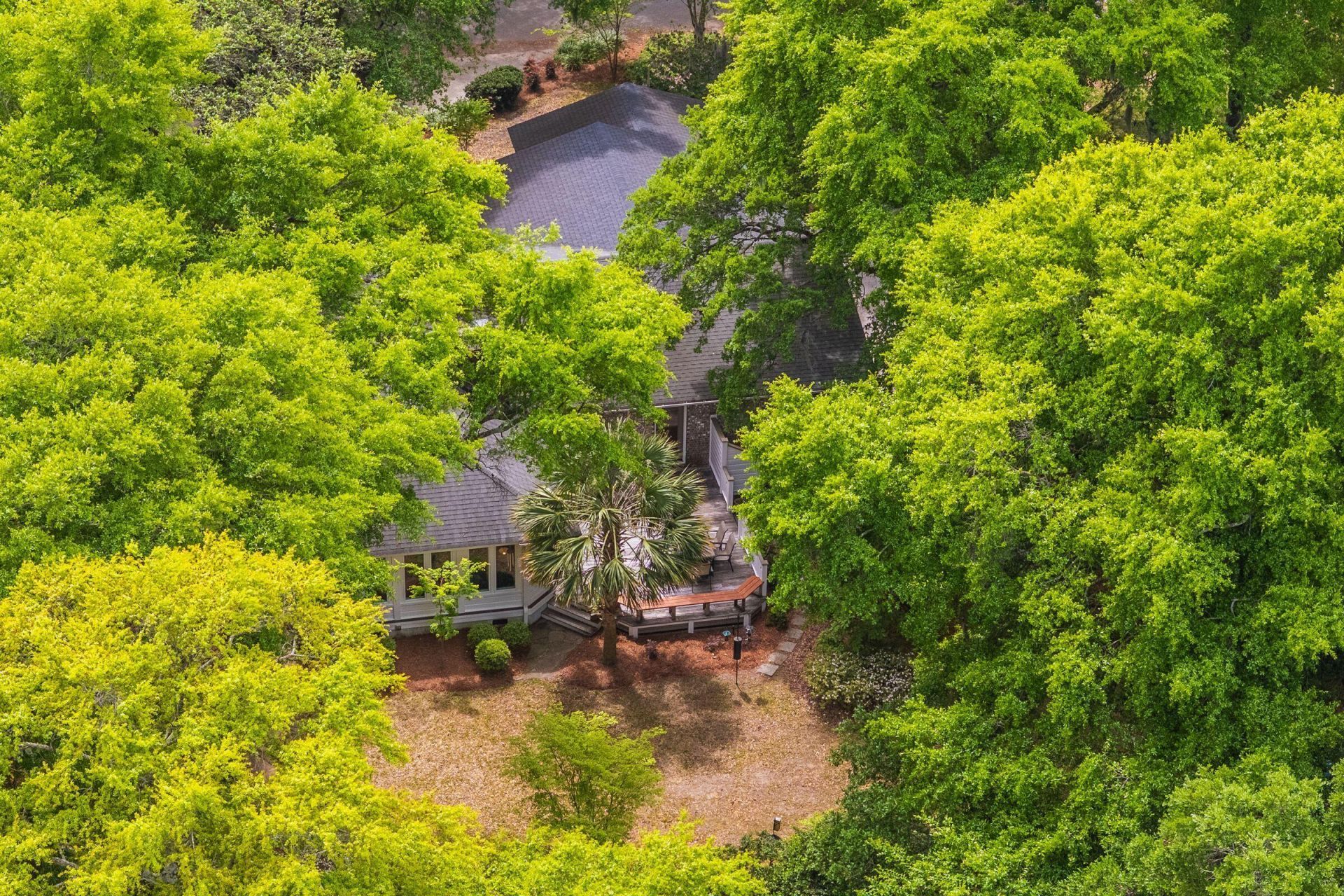 288 Molasses Lane Photo 109