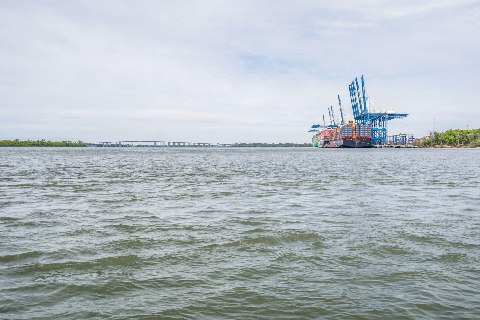 288 Molasses Lane Photo 128