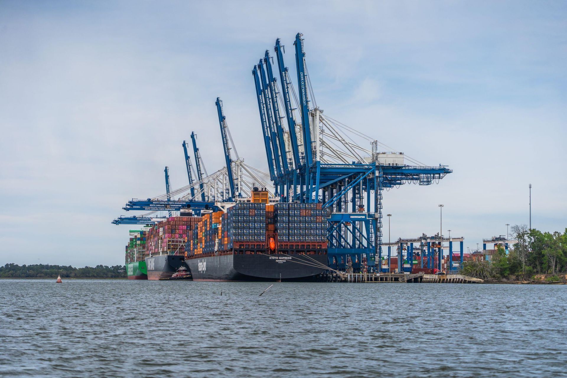 288 Molasses Lane Photo 140