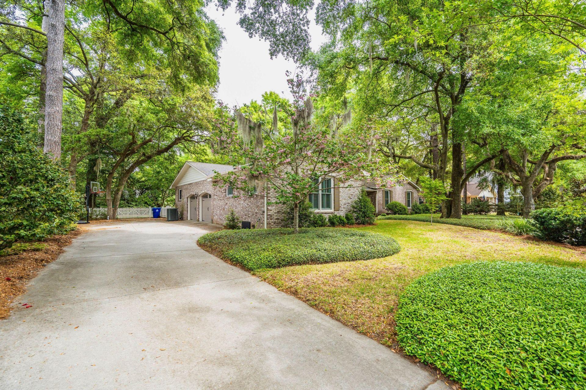 288 Molasses Lane Photo 6