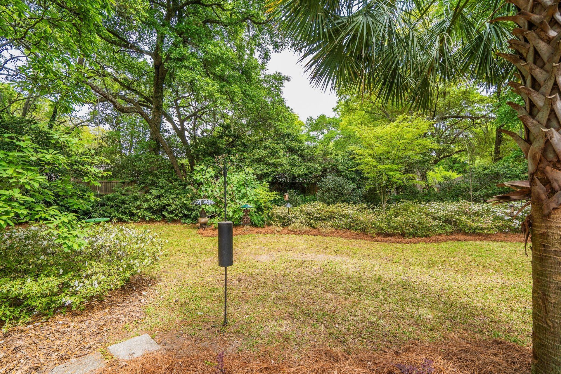 288 Molasses Lane Photo 89