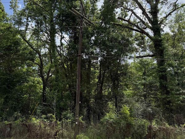 TBD Bayou Narcisse, Gonzales, LA 70737