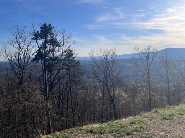 0 Golden Ridge Drive , Lake Lure, NC 28746