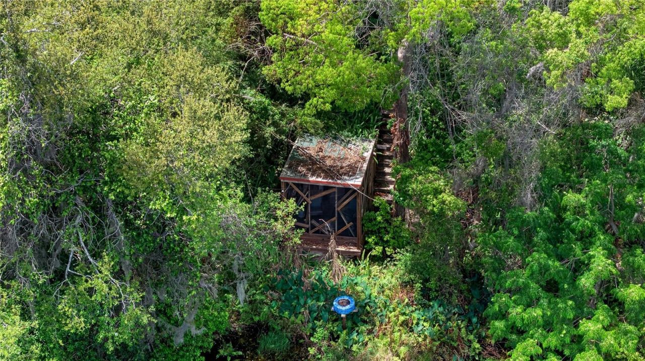 3717 Laughlin Road, Zellwood, FL 32798 Photo