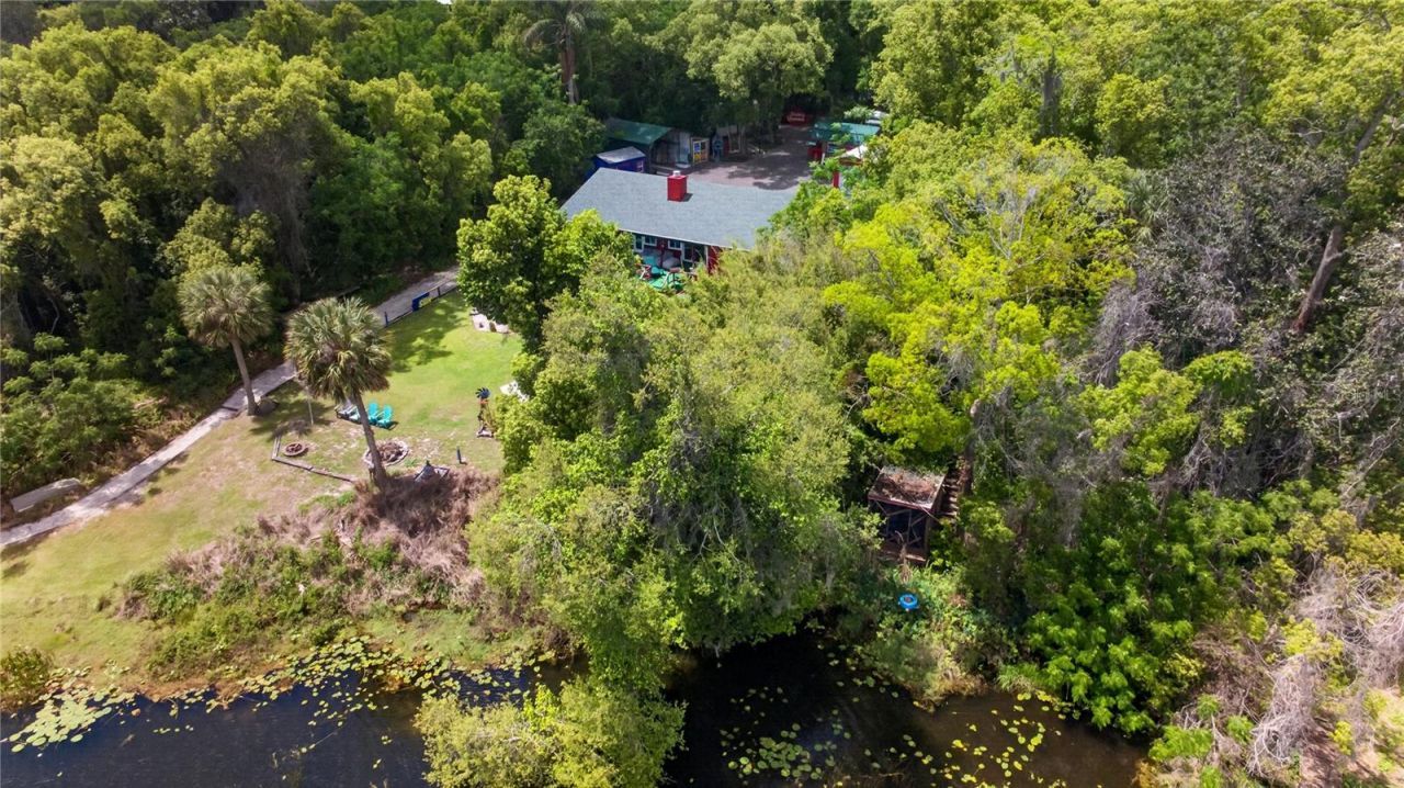 3717 Laughlin Road, Zellwood, FL 32798 Photo