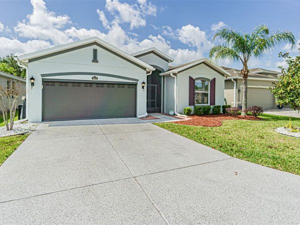 9936 GAP WEDGE DRIVE , SAN ANTONIO, FL 33576