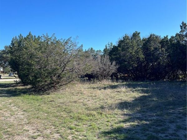 1309 and 1321 Lakeview Drive, Canyon Lake, TX 78133
