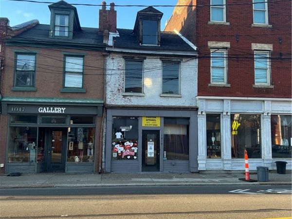 1019 E Carson St, Pittsburgh, PA 15203