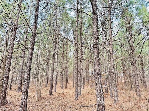 48 Ranches at Hickory Ridge, Dover, TN 37058