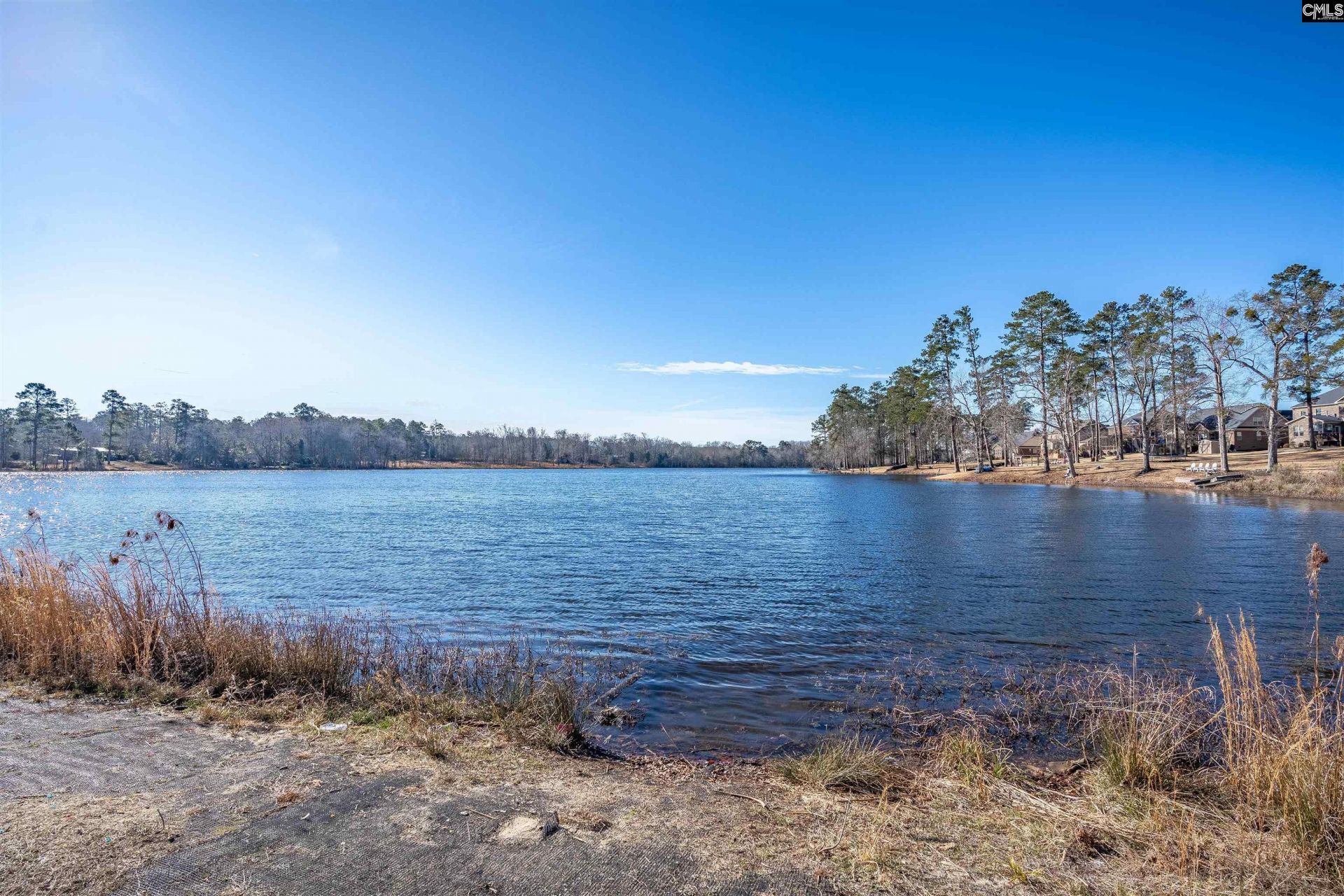 213 Goldenfluke Drive Photo 35