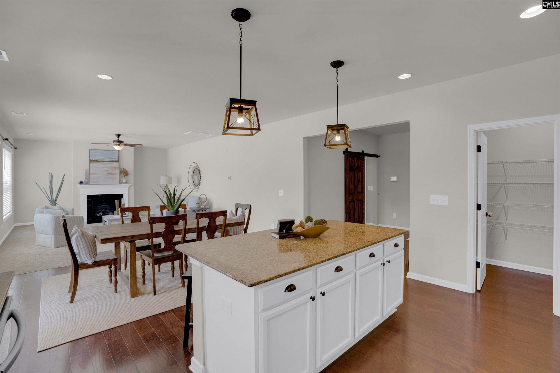 213 Goldenfluke Drive Photo 9