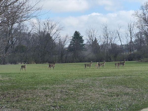 1313 3rd St NE , Oelwein, IA 50662