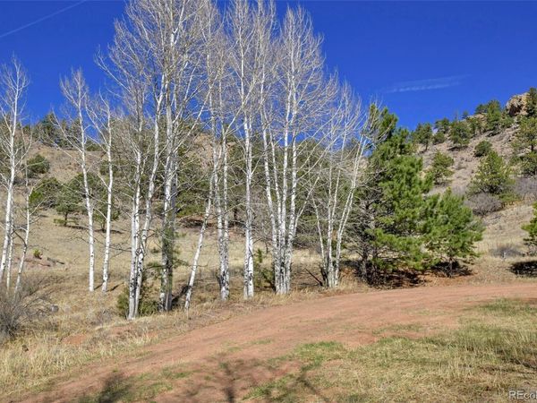 221 Floresta , Florissant, CO 80816
