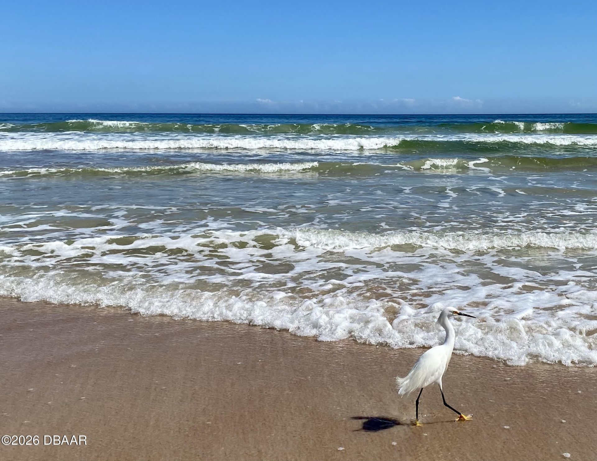 82 Calumet Avenue, Ponce Inlet, FL 32127 Photo