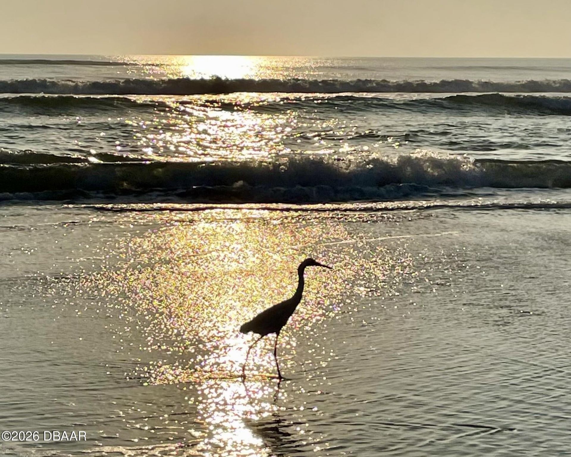 82 Calumet Avenue, Ponce Inlet, FL 32127 Photo