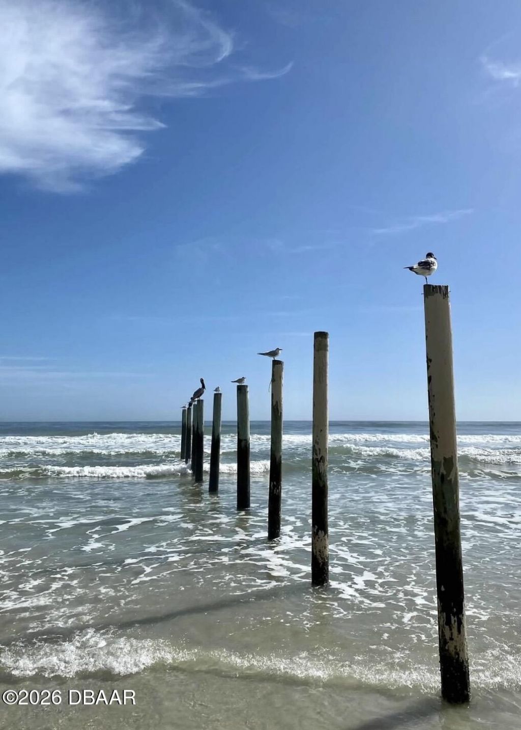 82 Calumet Avenue, Ponce Inlet, FL 32127 Photo