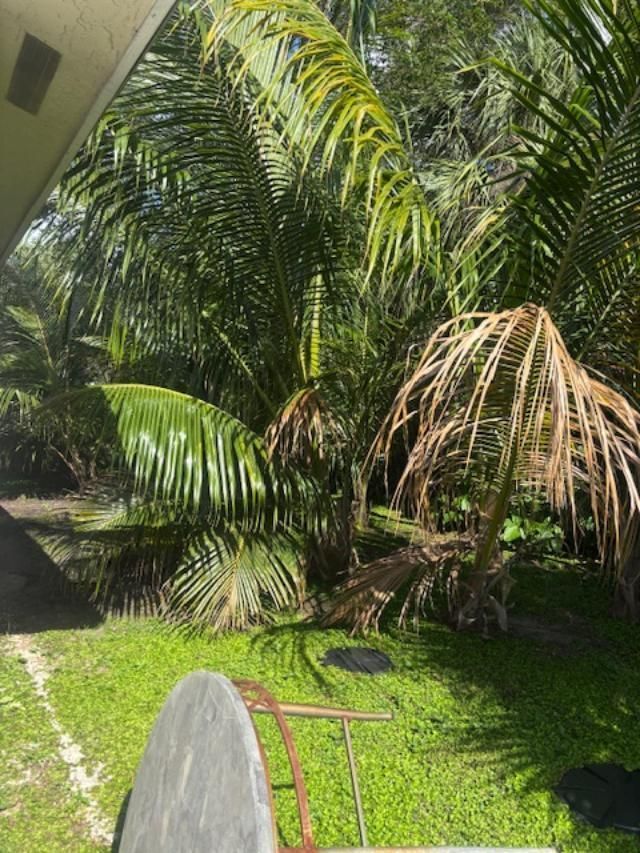 1855 Redbank Road, Juno Ridge, FL 33408 Photo
