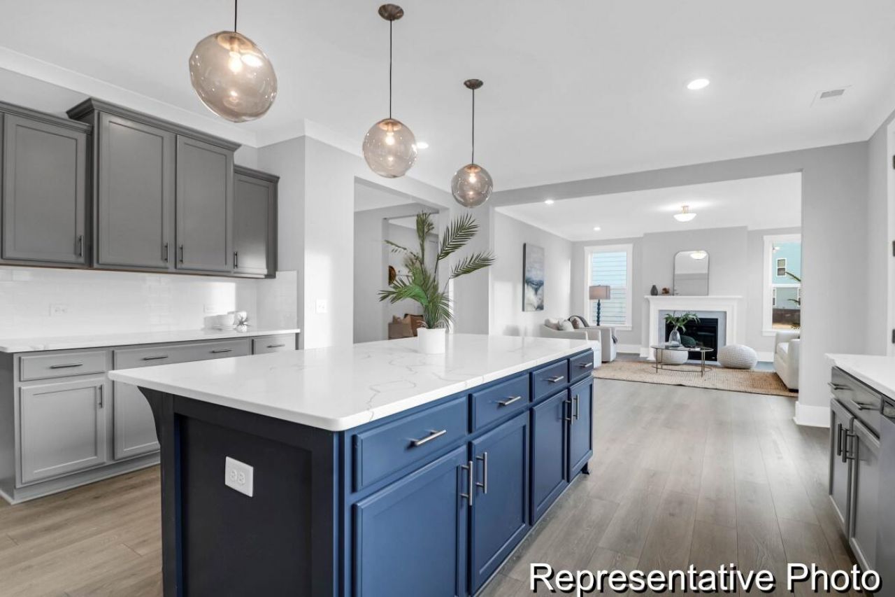 1038 House Finch Avenue Photo 11