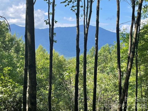 Lt 239 Down The Hill Road , Sylva, NC 28779