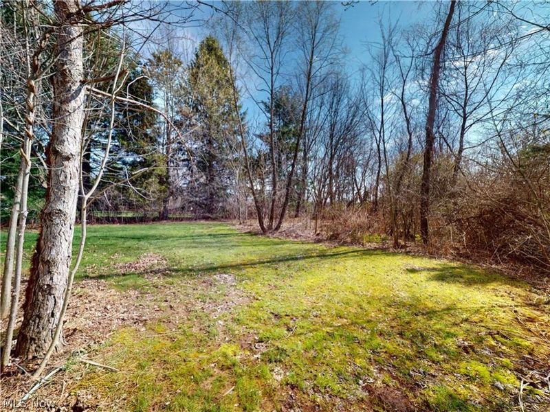 310 N Bissell Road, Aurora, OH 44202 Photo 36