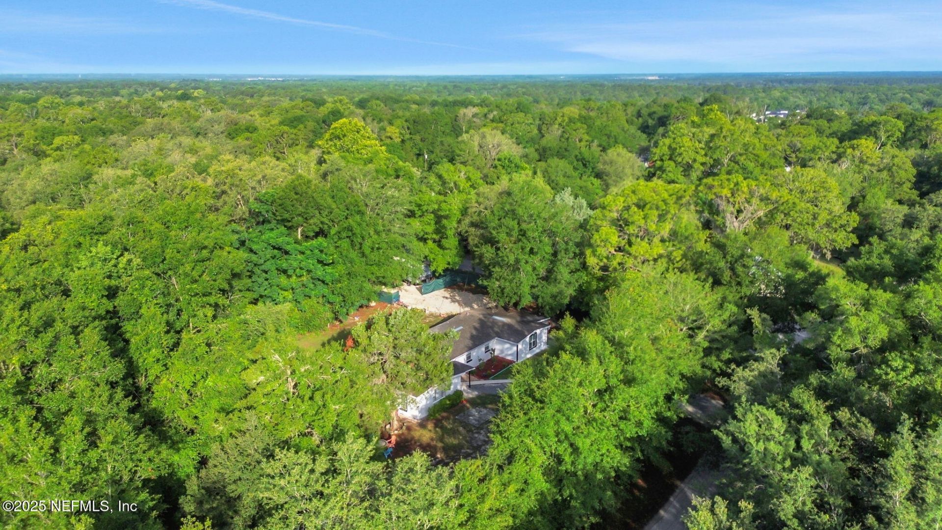 443 Polk Avenue, Orange Park, FL 32065 Photo