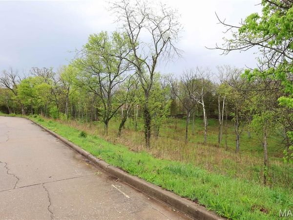 Lot 12,13,14 Dorothy Dr , Perryville, MO 63775