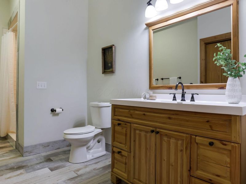 117 Lake Bluff Drive, Columbus, OH 43235 Photo 78