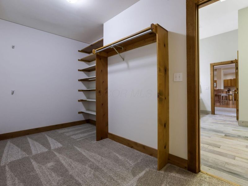 117 Lake Bluff Drive, Columbus, OH 43235 Photo 79