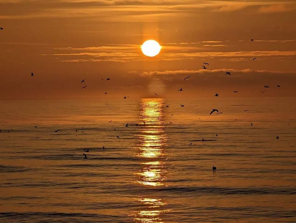 2201 S Waccamaw Dr. Photo 72