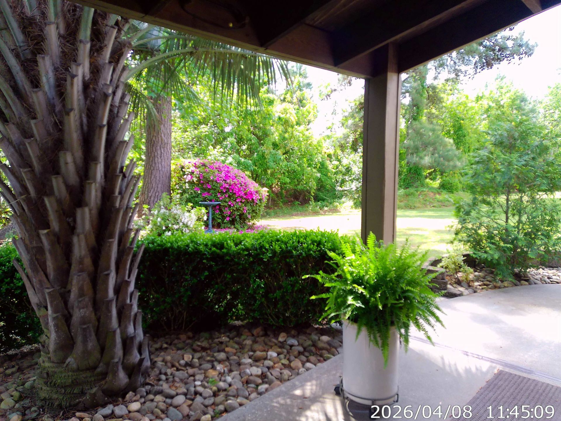 800 Egret Circle Photo 9