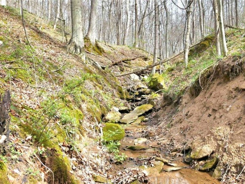 2641 Morganstern Lane, Beverly, OH 45715 Photo 22