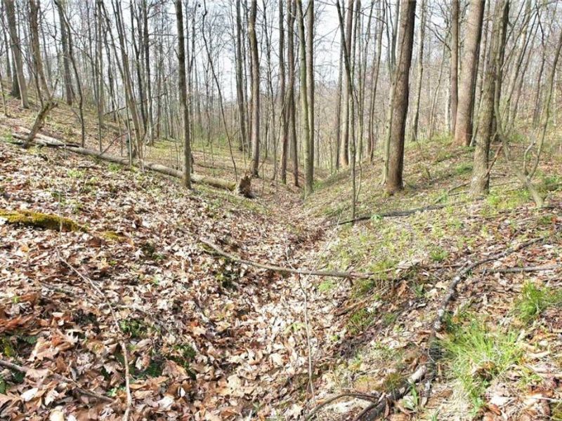 2641 Morganstern Lane, Beverly, OH 45715 Photo 39