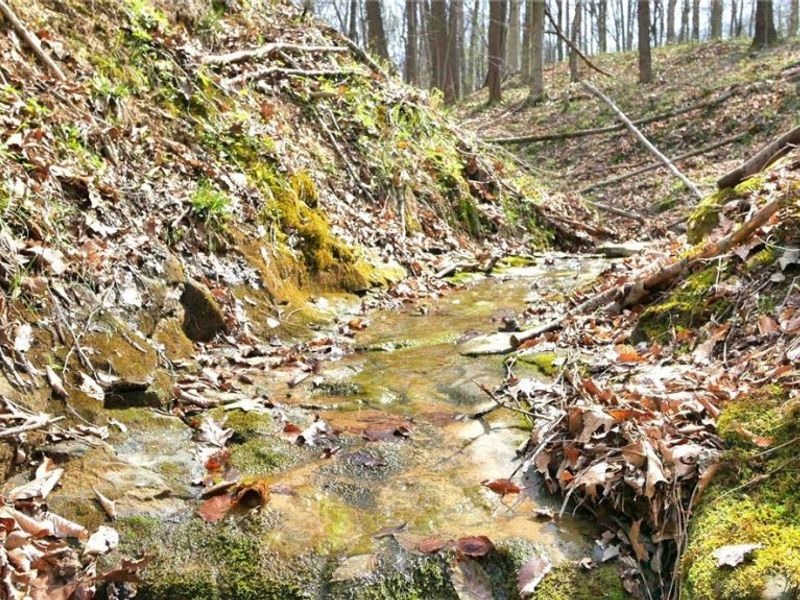 2641 Morganstern Lane, Beverly, OH 45715 Photo 41