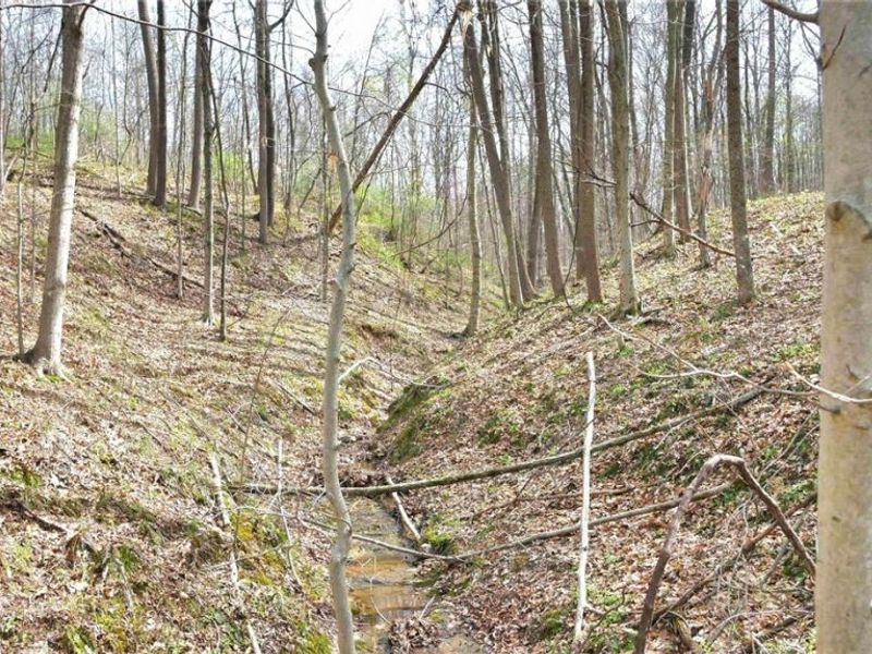 2641 Morganstern Lane, Beverly, OH 45715 Photo 42