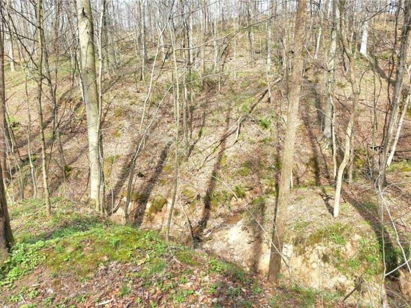 2641 Morganstern Lane, Beverly, OH 45715 Photo 43