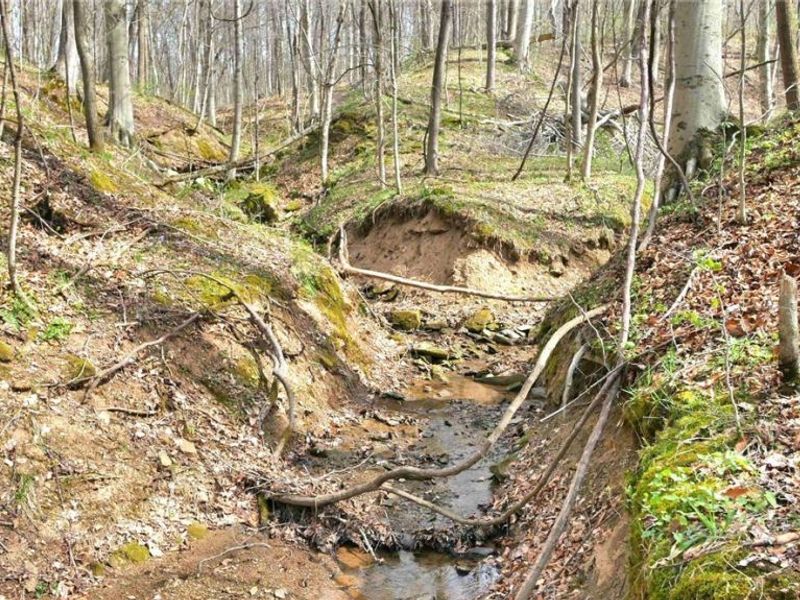 2641 Morganstern Lane, Beverly, OH 45715 Photo 44