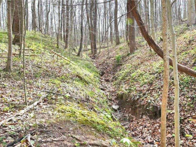 2641 Morganstern Lane, Beverly, OH 45715 Photo 46