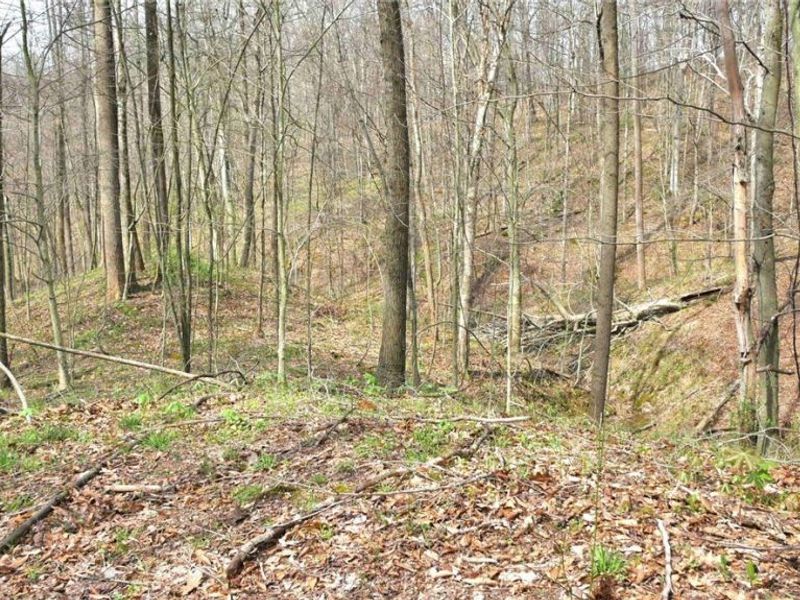 2641 Morganstern Lane, Beverly, OH 45715 Photo 47