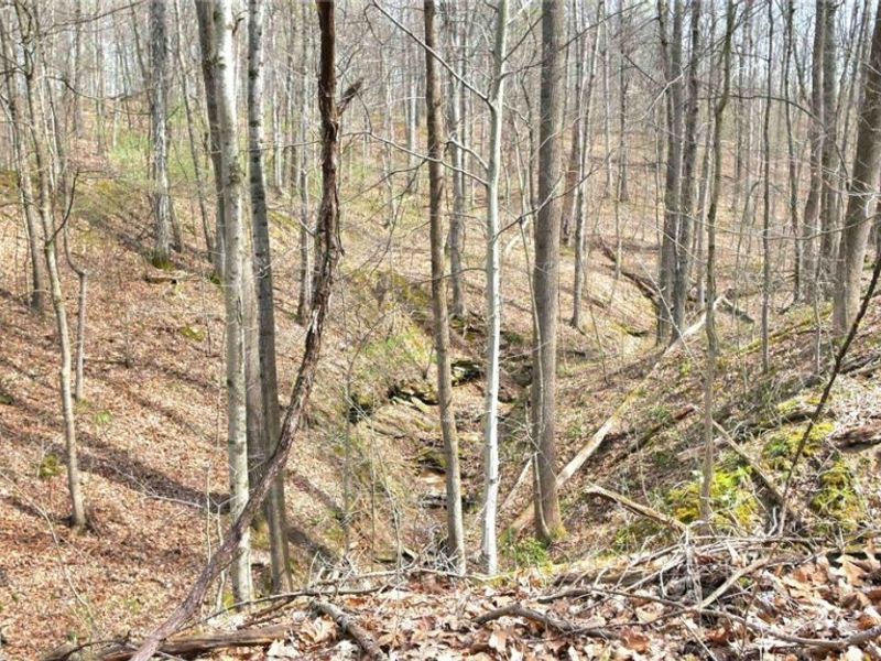 2641 Morganstern Lane, Beverly, OH 45715 Photo 48