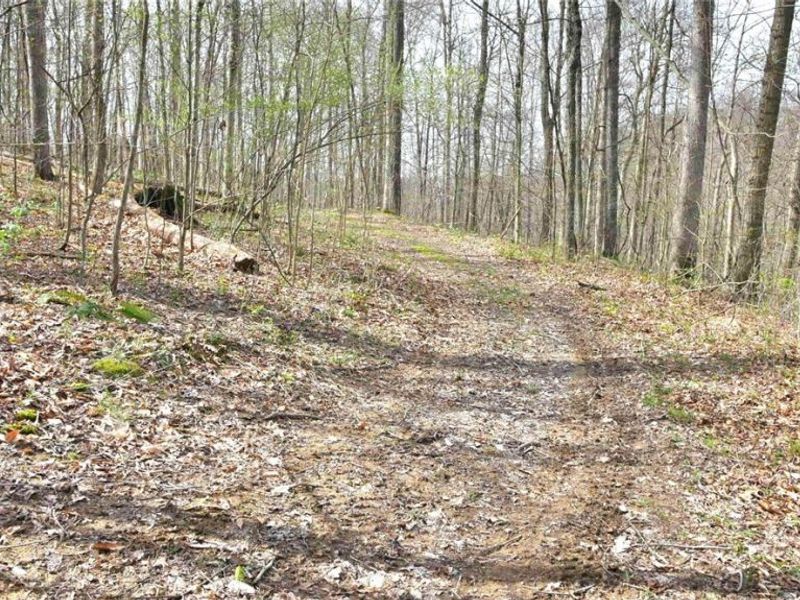 2641 Morganstern Lane, Beverly, OH 45715 Photo 49