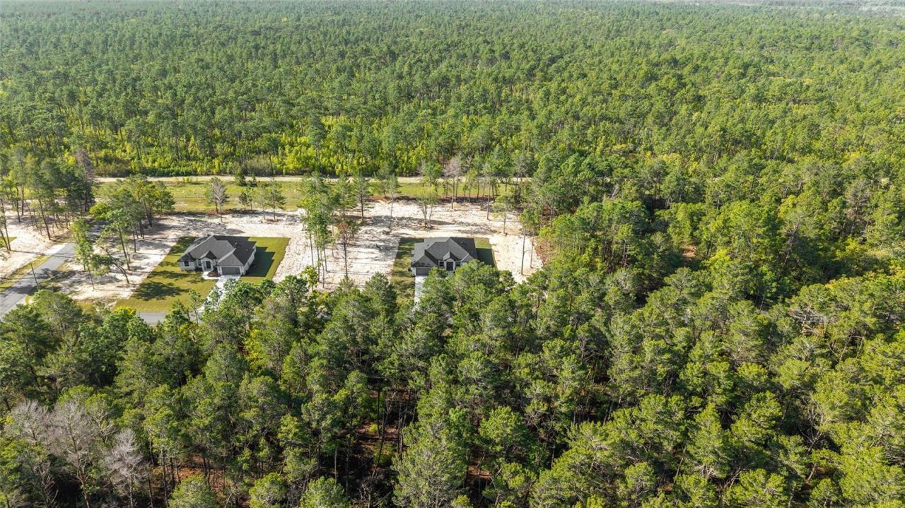 4438 SW 179th Place, Ocala, FL 34473 Photo