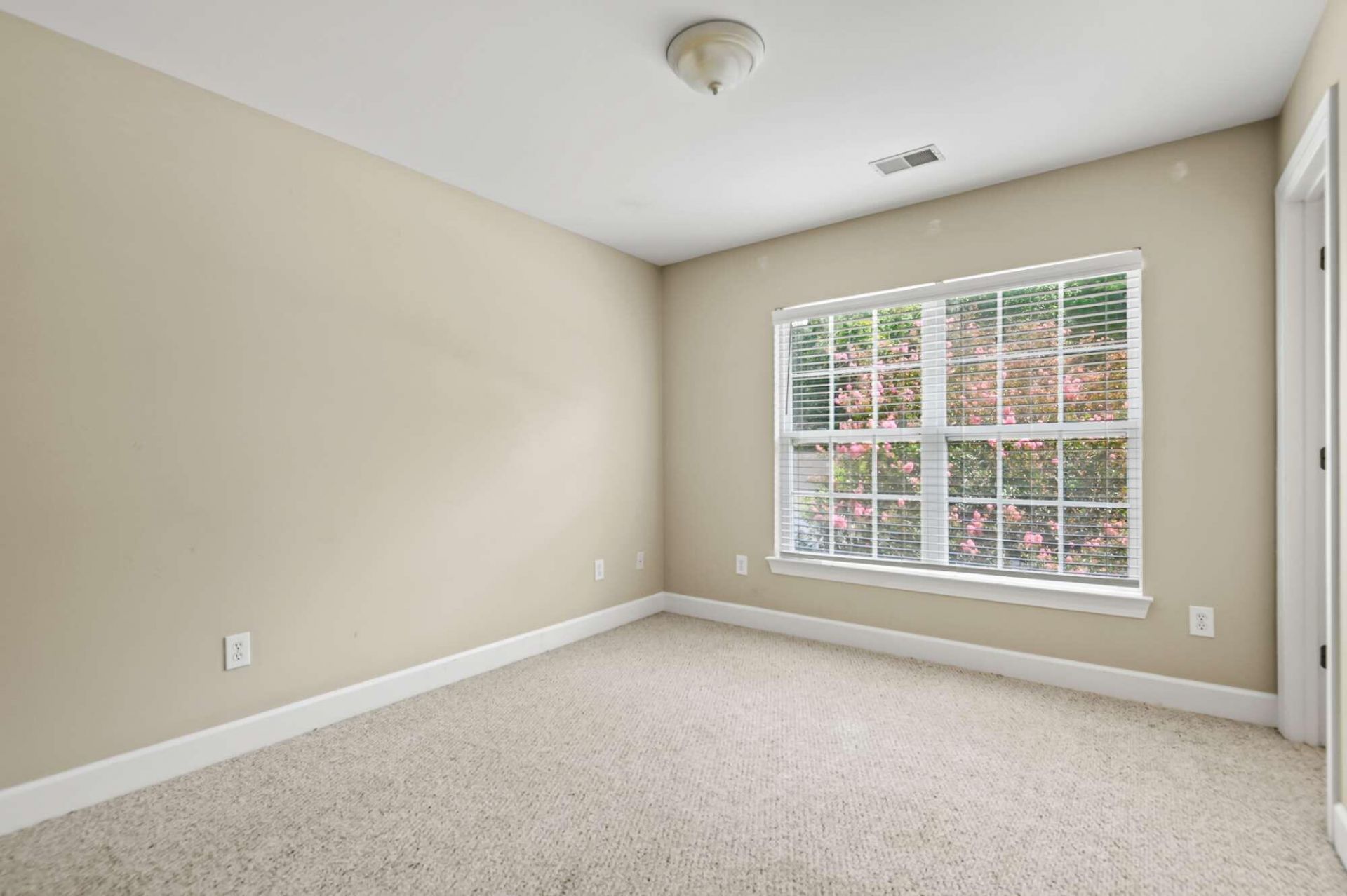 2936 Sugarberry Lane Photo 23