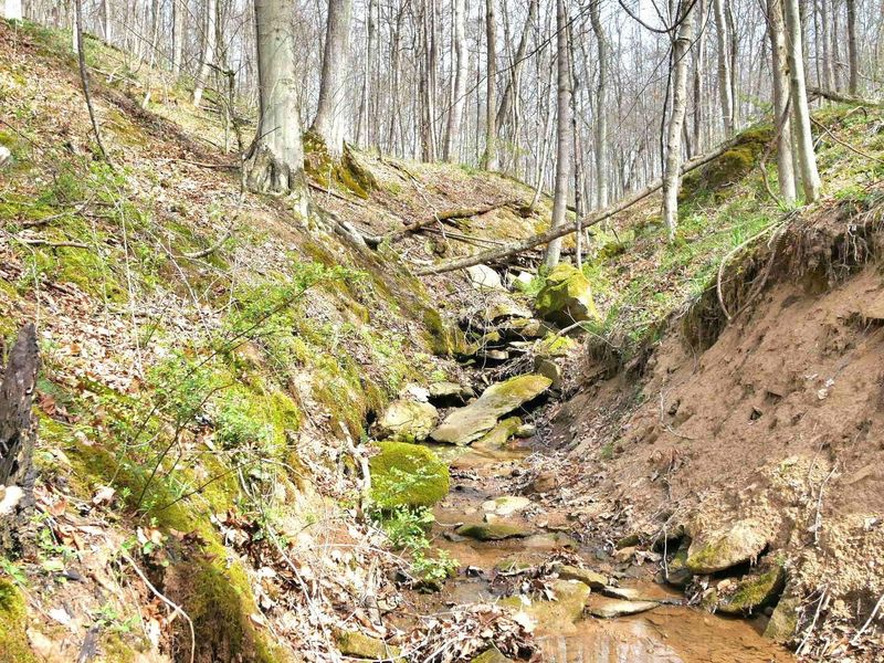 2641 Morganstern Lane, Beverly, OH 45715 Photo 19