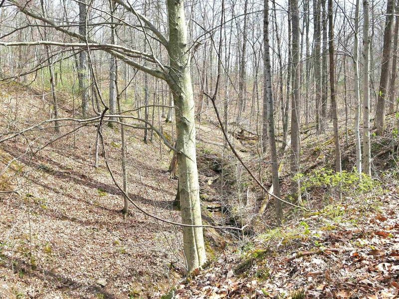 2641 Morganstern Lane, Beverly, OH 45715 Photo 33