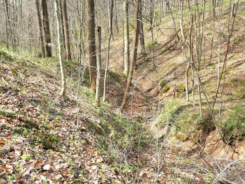 2641 Morganstern Lane, Beverly, OH 45715 Photo 36