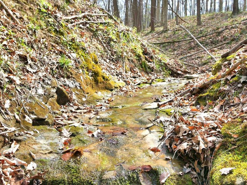 2641 Morganstern Lane, Beverly, OH 45715 Photo 37