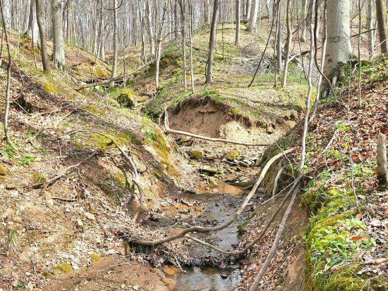 2641 Morganstern Lane, Beverly, OH 45715 Photo 40