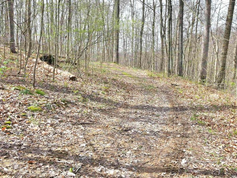 2641 Morganstern Lane, Beverly, OH 45715 Photo 45